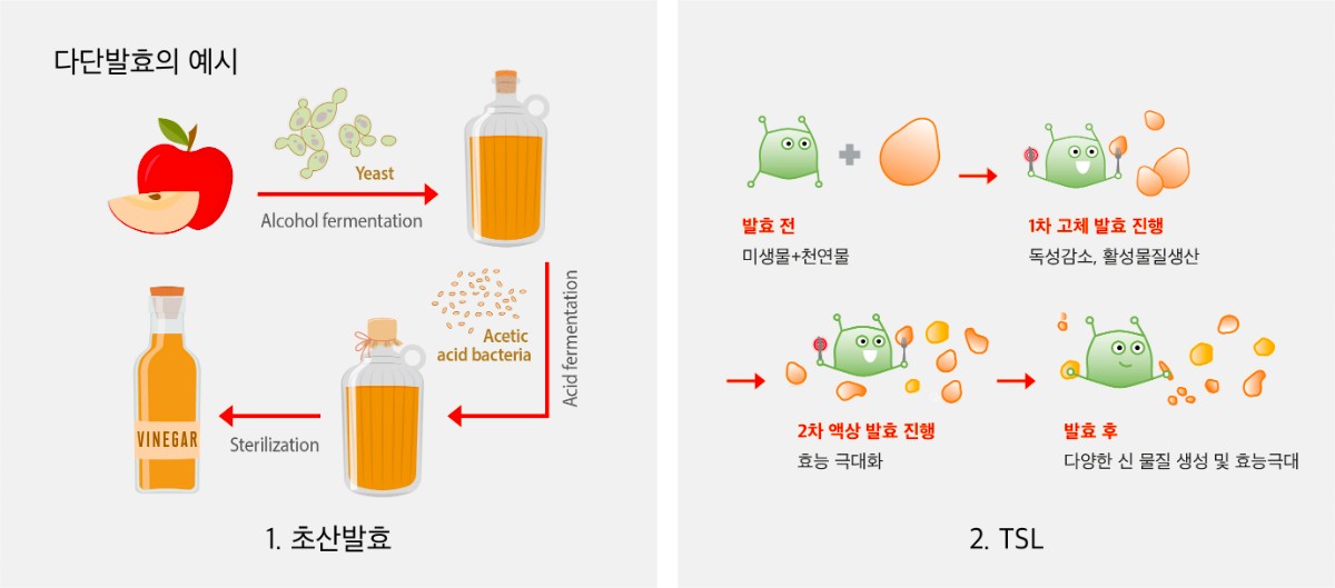 다단발효.jpg